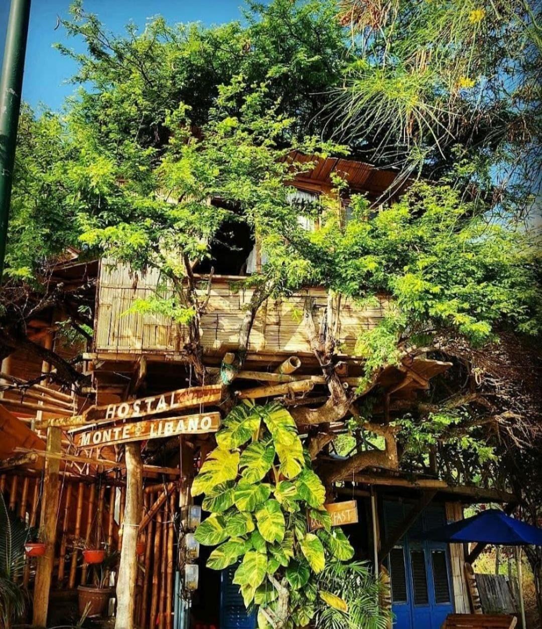 Hostal Monte Libano Пуерто-Лопес Екстер'єр фото